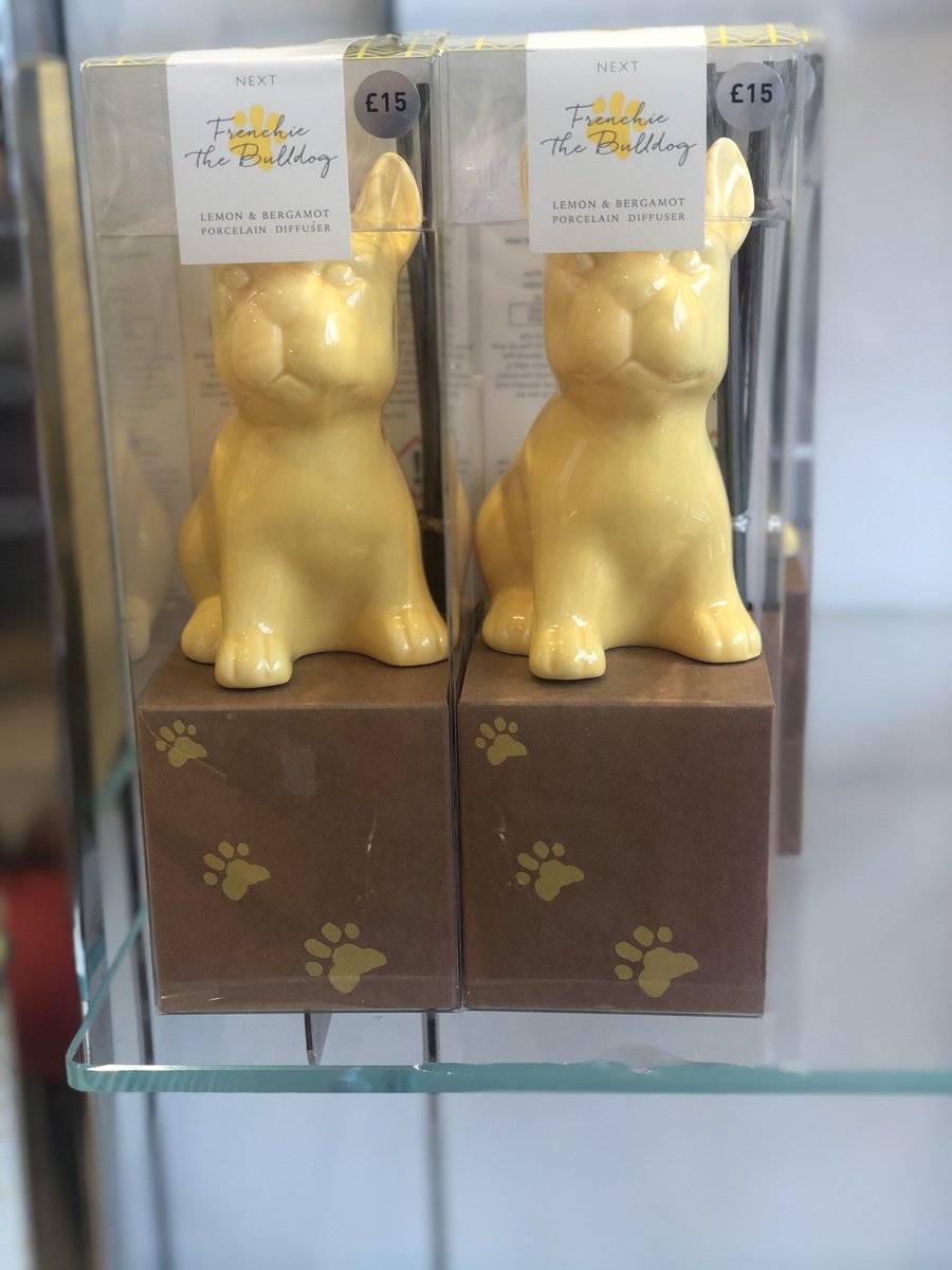 Meet Frenchie The Bulldog! The new Lemon and Bergmont porcelain diffuser from Next #FrenchBulldog #Erneside #Enniskillen