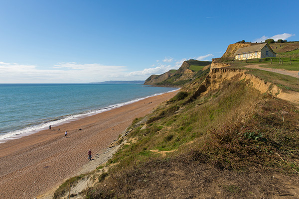 Hoorah! The sun is back to visit. It might not quite be warm enough yet for a sunbathe, but not much can beat a stroll on the beach. Whether that's by yourself, with friends, family or the dog, Dorset has so many places where you can do exactly that 🌊👇

resortdorset.com/features/179/D…