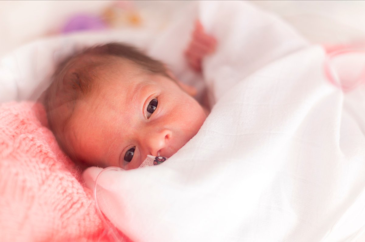 RMITEurope's tweet photo. "More than 15 million babies are born preterm every year"

RMIT's @BobbiFleiss is part of a global group of researchers on the project @premstem to see if stem cells can be used to regenerate the brain damage caused by premature birth

➡️ https://t.co/97FdxFIlaM @ResearchRMIT https://t.co/I91O4SegH4