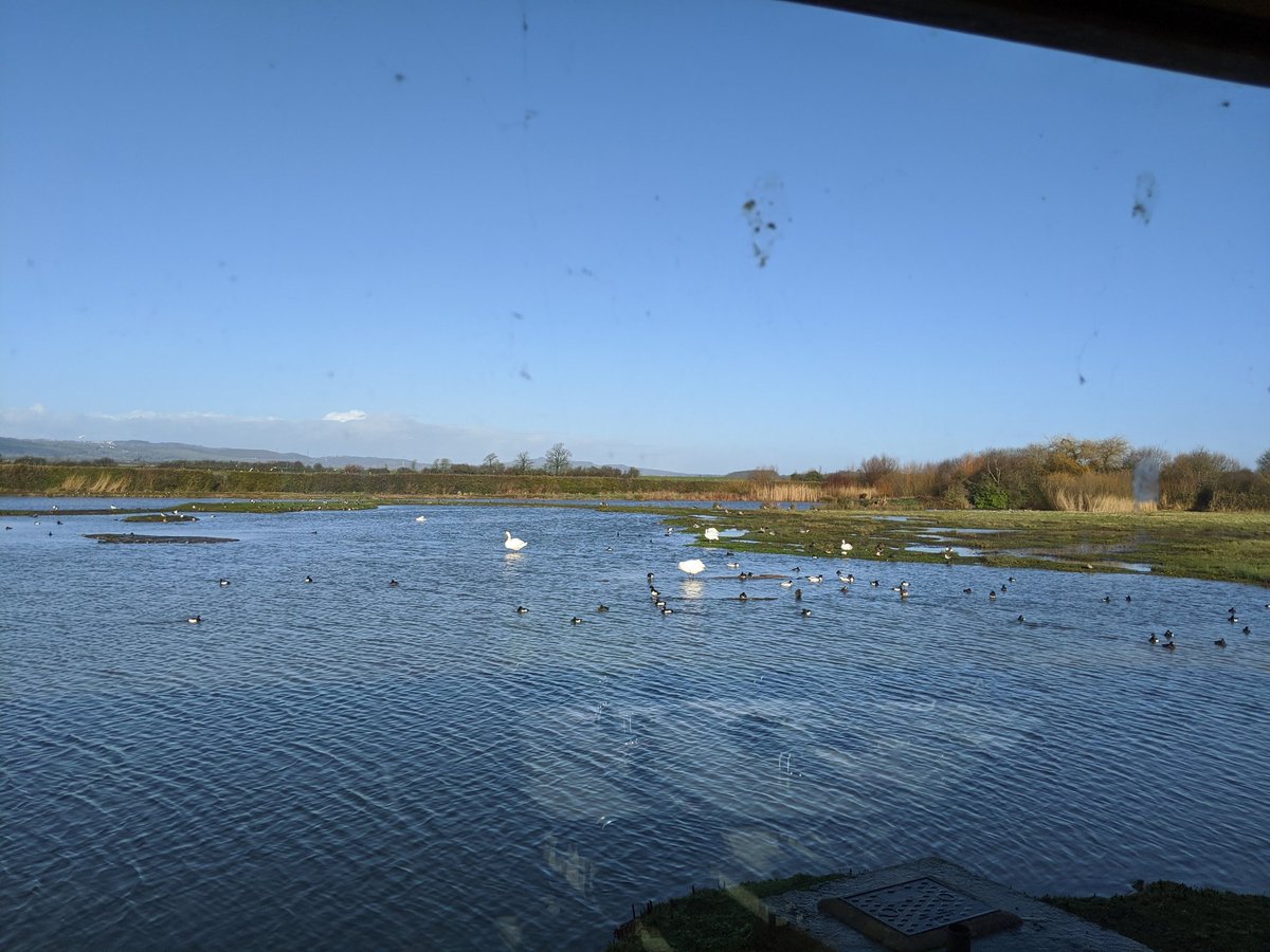 ForbesSarahCF's tweet photo. Ecology writing and enjoying the views @WWTSlimbridge with #BeyondWords @GHES_head @cheltfestivals @WWT_Learning_SL https://t.co/FVEWfSDgLO