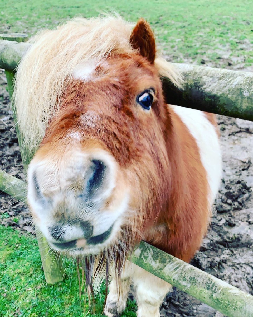 2020 and still the cheekiest boy we’ve got 😝