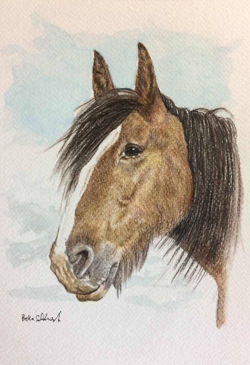 Bella Sabbagh 🇵🇸 tweet media