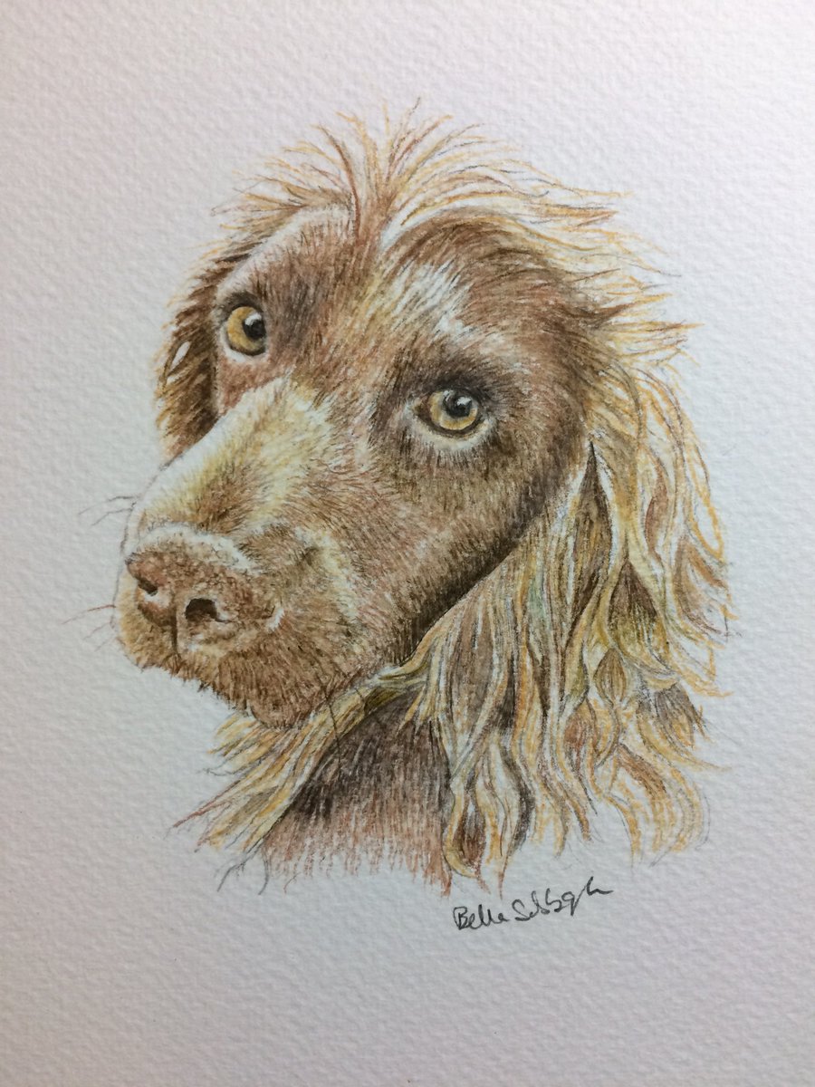 Bella Sabbagh 🇵🇸 tweet media