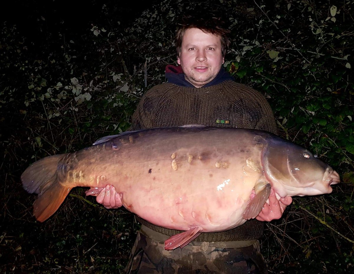 MainlineBaits's tweet photo. Chris Offord kicked off 2020 with this huge 55lb mirror caught from a swim known as 'No Carp Corner'. Solid PVA bags filled with Spod &amp; PVA Pellet Mix did the business! 

#MainlineBaits https://t.co/N8n1H3wIGY