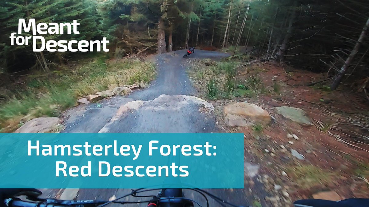 MeantForDescent's tweet photo. My latest vid comes from #Hamsterley Forest. Last time around I missed out some of the red descents. Well, I've been back and they're all here this time.

https://t.co/Xi5E91Xo16 https://t.co/SVc5f8FqIi