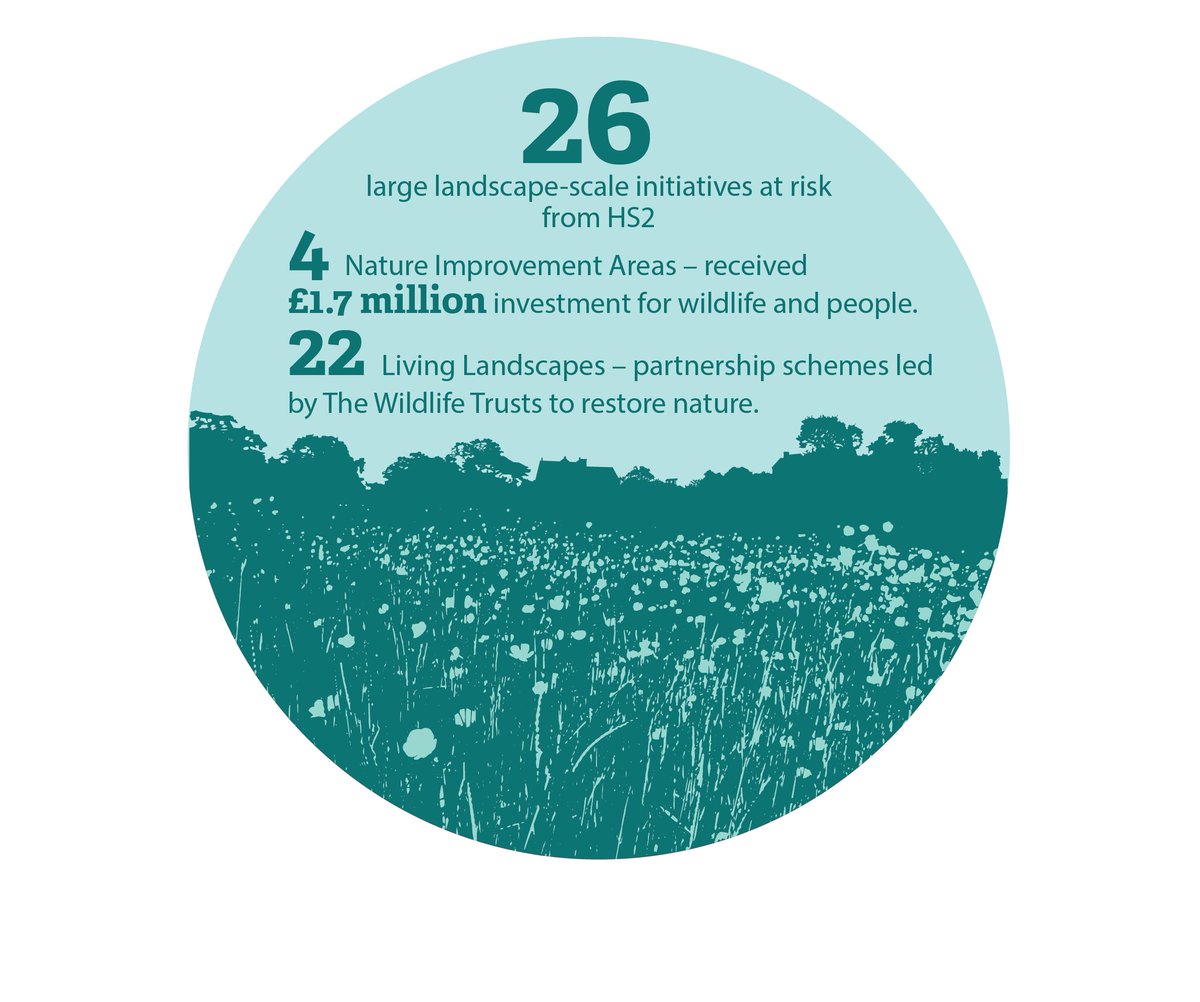 WildlifeTrusts's tweet photo. #HS2 puts four Nature Improvement Areas at risk – areas that have already been awarded £1.7 million of public money for wildlife and people. Add your name to our letter to the Prime Minister: https://t.co/tVchaiGd8R https://t.co/ZwOWppv55X