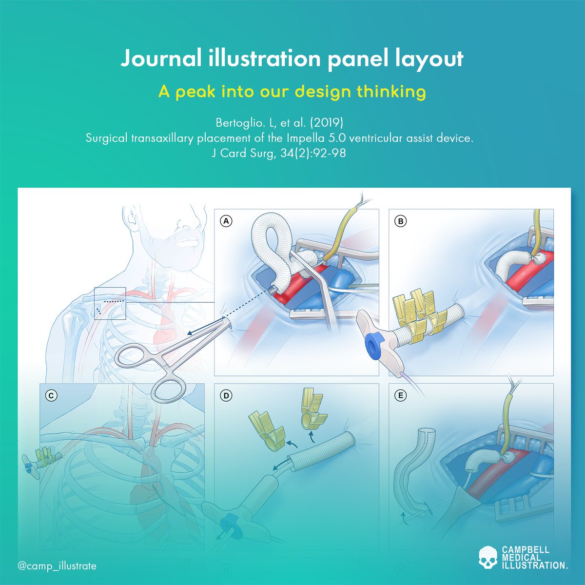 nowmedstudios's tweet photo. With layouts like this we can get a bit creative and we wanted to share with you how we keep the eye flowing across all of the boxes in a layout. Thanks again to @lucabertoglio for working with us on this illustration. See the final in his paper https://t.co/T86mhf3Vql 

#sciart https://t.co/RwAeYTPT5g
