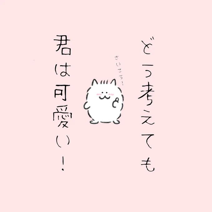 無条件で可愛いって褒めてくれるポメラニアン。 