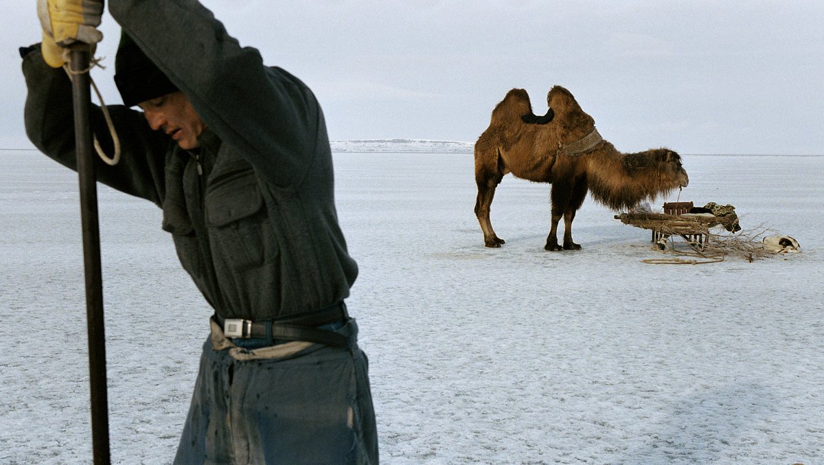 ‘Zhakslik has a unit of knowledge that’s of little value anywhere else on earth: How thick does the ice have to be to take the weight of a camel?’ Life in the former fishing village where eco-disaster means the coast now stands more than 100km away. bit.ly/36WyIls
