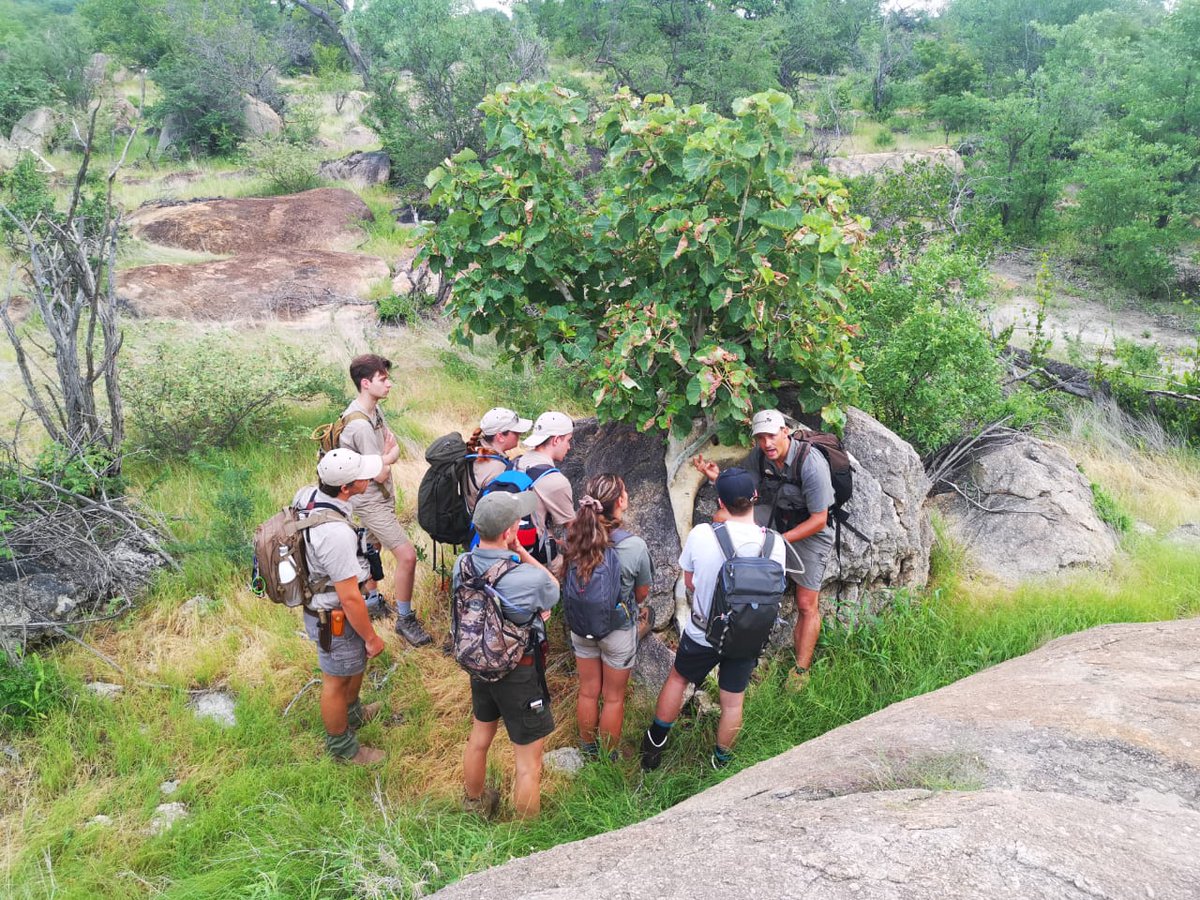 EcoTraining's tweet photo. #Student update: The 14A #ProfessionalFieldGuide Students are fully engulfed in the beauty of #Selati and are cruising through their lectures like stars. 

#Africa #SouthAfrica #GameReserve #wildlife #nature #studyabroad #education #travel #tourism #outdoors #outdoorliving https://t.co/gUqFcmaZED