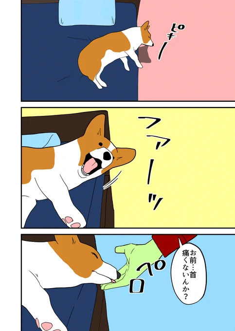 いぬぬわん修行。 その28 
