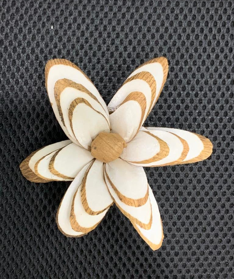 keenterprises's tweet photo. Excited to share the latest addition to my #etsy shop: Sola Wood Flower ASPEN (For 500 flowers) - MOQ 10 in mixing quantity https://t.co/dE9zx1DpFU #weddings #bouquet #white #solaflower #woodflower #solawoodflowers #dryflowers #tapiocaflower #balsawoodflower https://t.co/fR7TbBc6B9