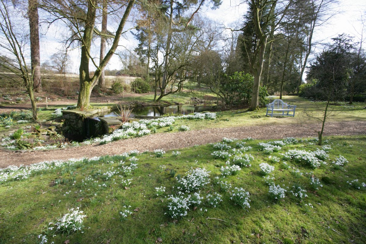 Not long now til our beautiful Snowdrop Walk 1 Feb-1 Mar open Tues -Sun 11-4pm.  Admission £5/Children £2/Dogs welcome.  Groups e-mail enquiries@rodehall.co.uk.