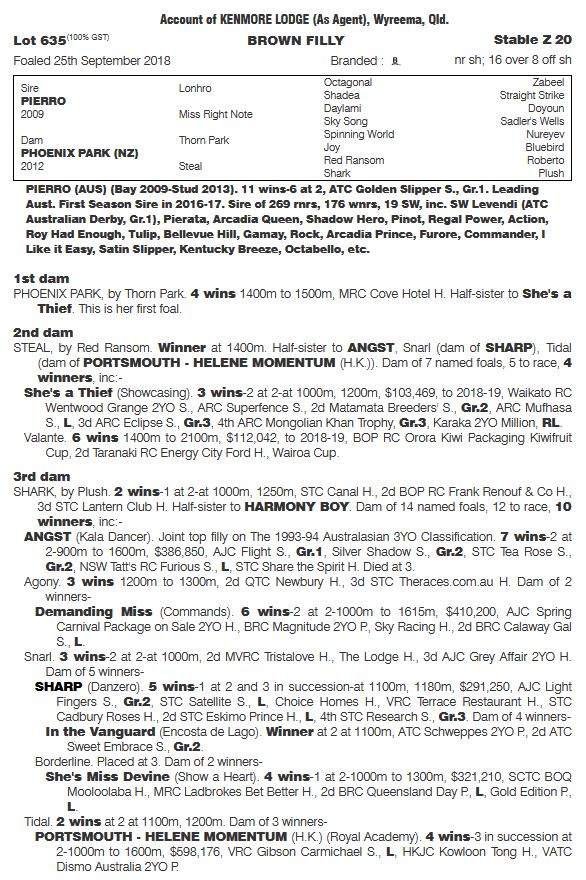 BreedWatchOC's tweet photo. #MagicMillions2020

• Highest Priced Yearling by 'Pierro'

Lot 635 #Filly

Pierro x Phoenix Park NZ by Thorn Park

[Northern Dancer: 5S X 5D]

Bred by Boom Racing Thoroughbreds 

Vendor: @Kelliebond20 

'' Sold for $550K to @DGRTBS &amp; @Anderson_Racing "

#Pierro #Lot635 #TopFilly https://t.co/sMYTLg03SL