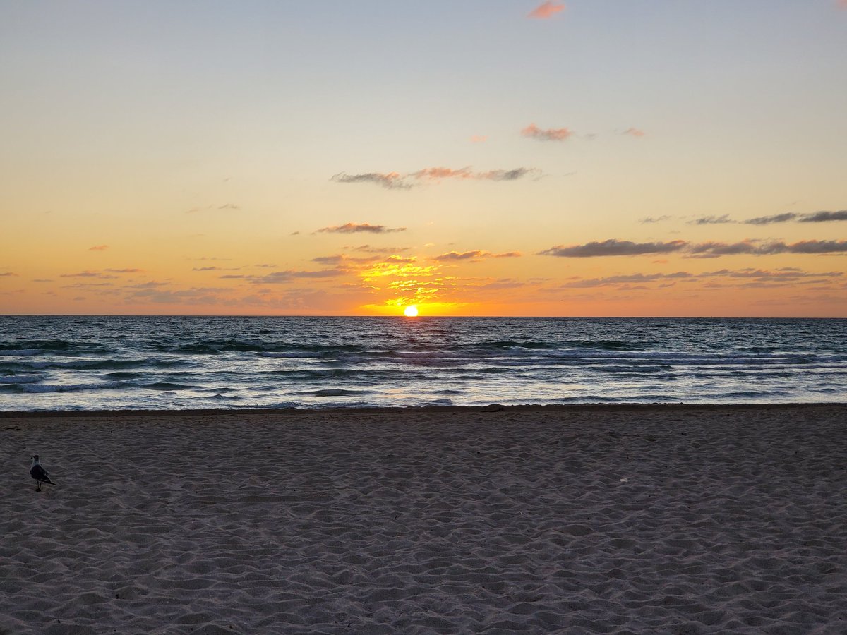 JoeyEdTech's tweet image. Good morning from South Beach #FETC20