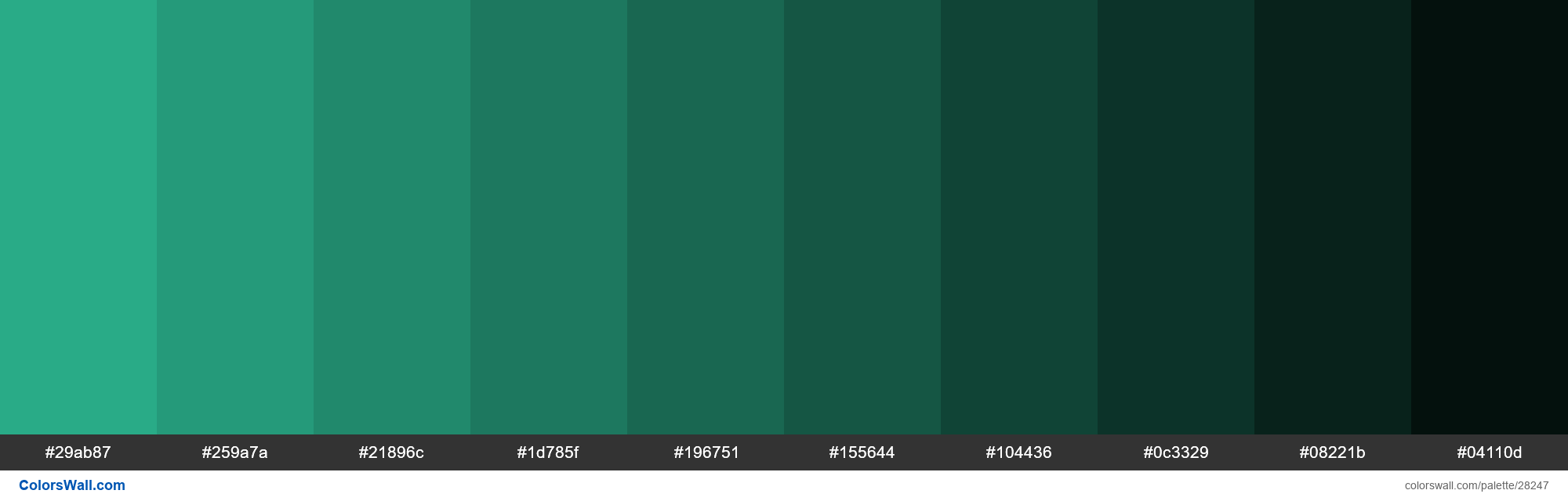 colorswall on X: Shades of Jungle Green color #29AB87 hex #29ab87,  #259a7a, #21896c, #1d785f, #196751, #155644, #104436, #0c3329, #08221b,  #04110d #colors #palette   /  X