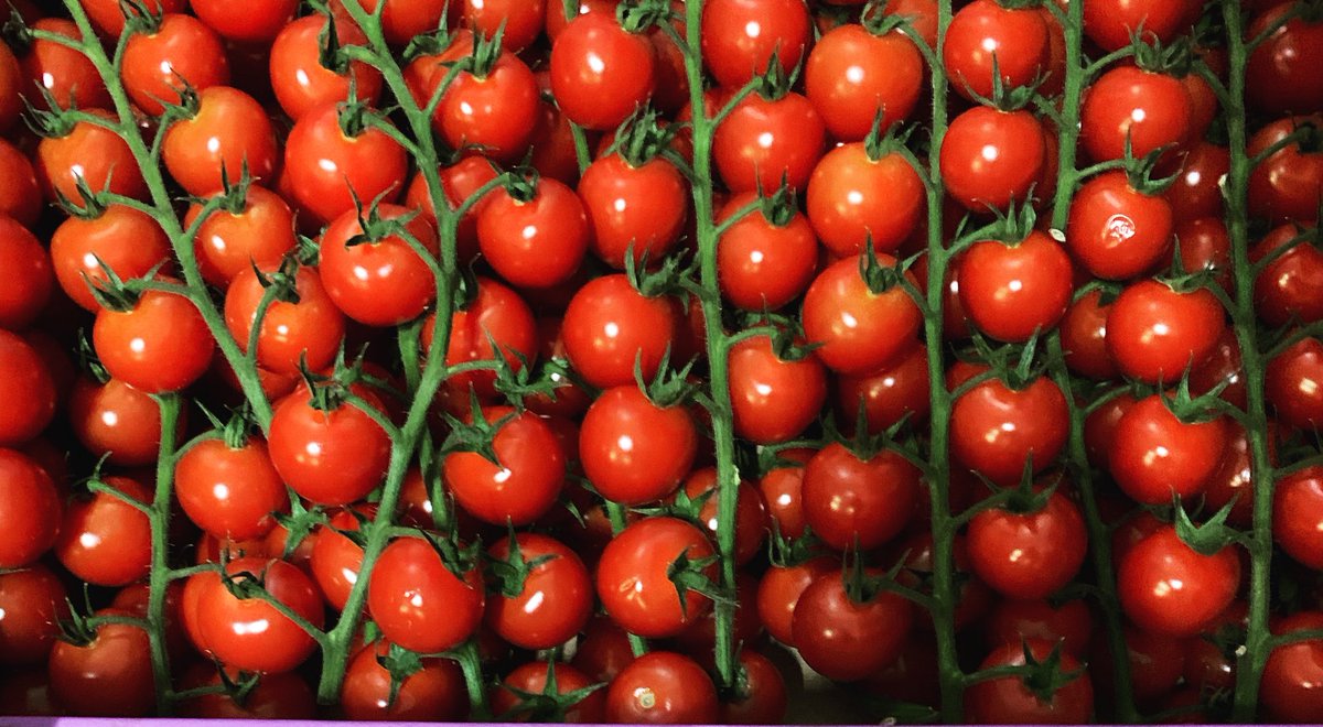 ArthurDavidFWS's tweet photo. Why do Cherry Vine Tomatoes always look SO beautiful in the box!! π
π
#Tomatoes #Vegetables #LeaveItWithUs https://t.co/icOXrThQRW