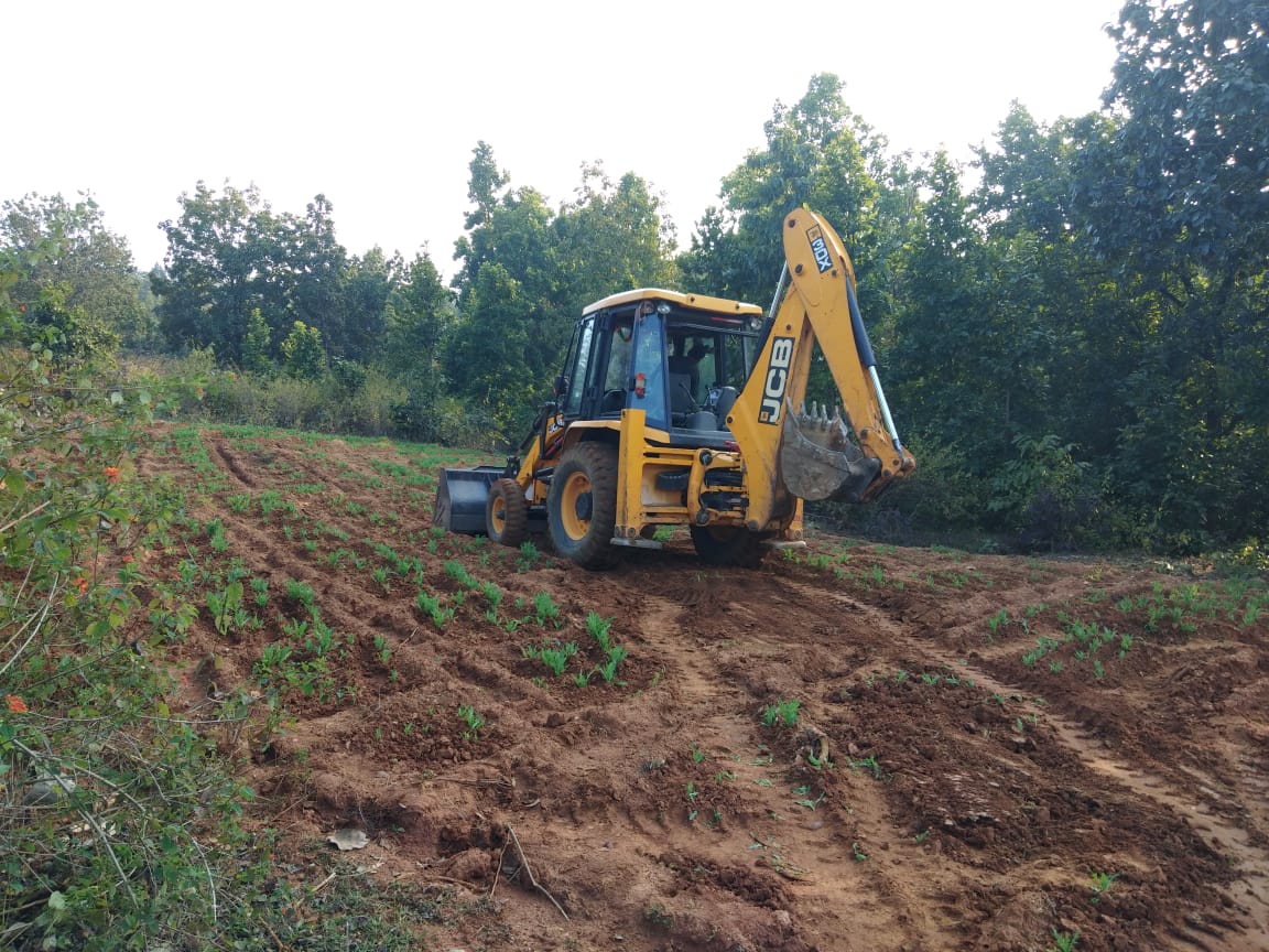 DFO_ChatraNorth's tweet photo. 4 acres of opium cultivation in lawalong PF &amp; 2 acres in Chaya PF of Kunda range destroyed with the help of @chatrapolice on 12-01-2020
@moefcc @ForestJharkhand @JharkhandCMO @ifskalikinker https://t.co/h37RaFfw3n