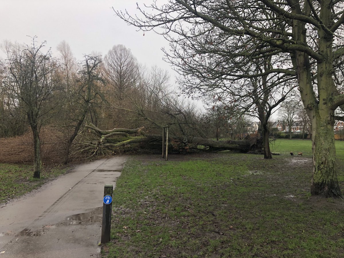 Someone was trying to tell me something on my normal dog walking route!