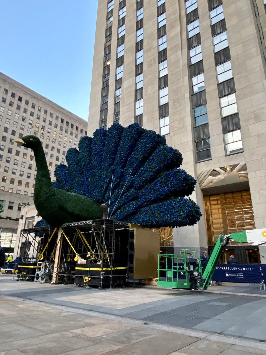 Matt_CIM's tweet image. #Hatching @peacockTV @NBCUniversal @30Rock