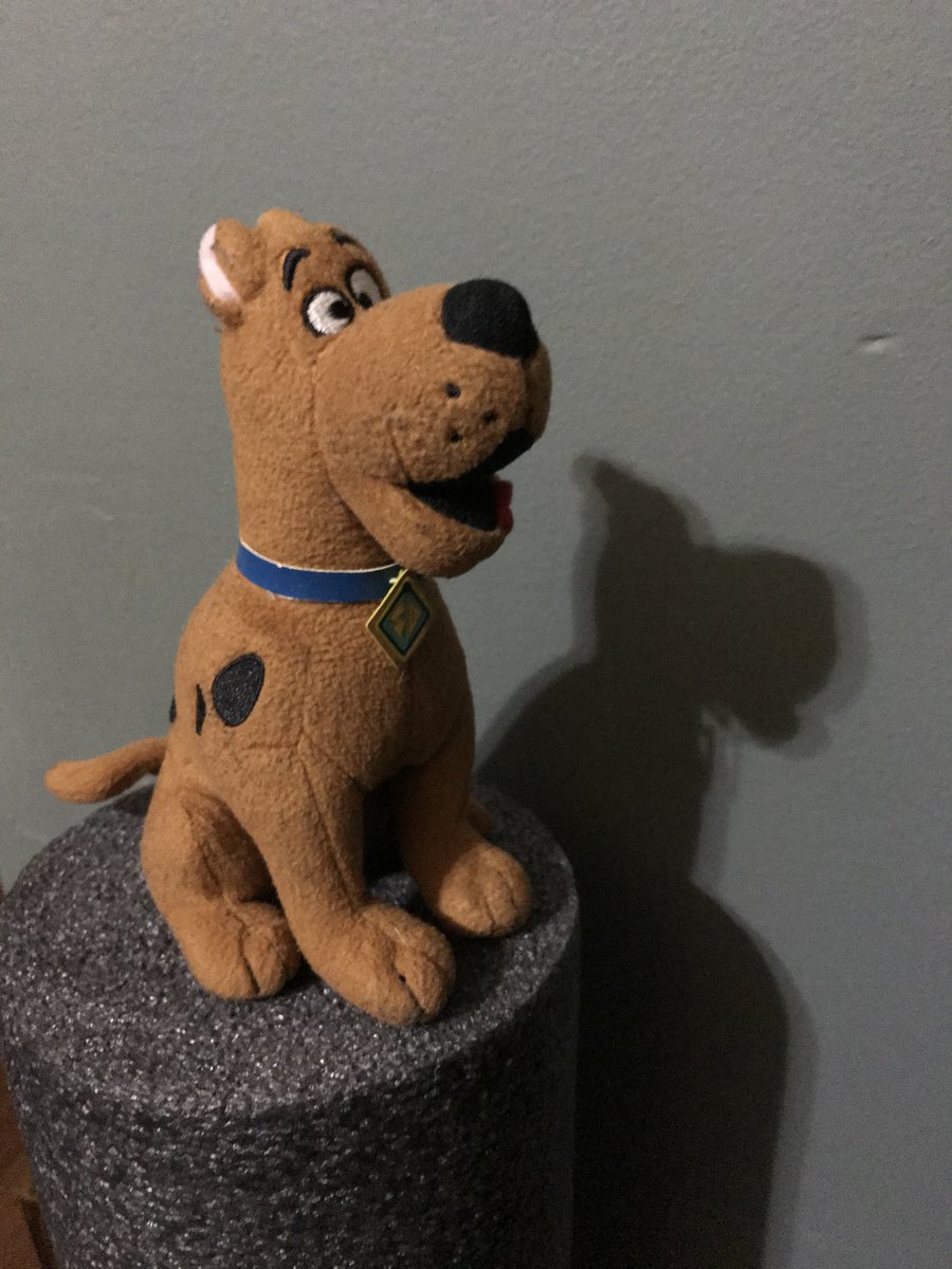 ScoobyAddict's tweet image. Scooby is scared of most things, even his own shadow. #MyShadow #ScoobyPhotoChallenge #ScoobyDoo