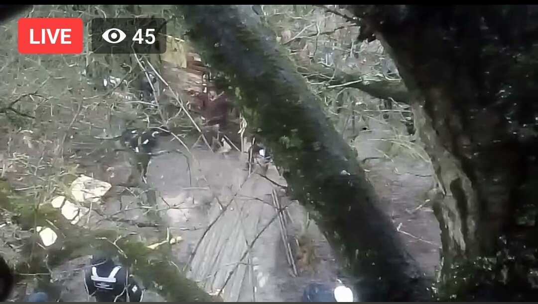 NetsNot's tweet photo. #HS2 felling ancient wet woodland live on camera with a protestor up one of the trees NO Ecological mitigation No legal bat surveys #BadgerSetts at location These are criminal offences by @HS2ltd https://t.co/LXHXdHaSca #HS2ChainsawMassacre #HS2IsEcocide #Corruption #Harvil https://t.co/2XCndkhCcL