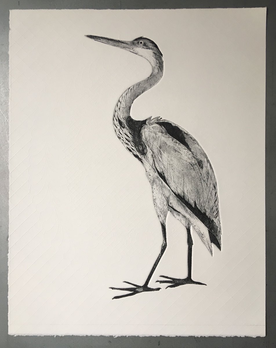 MakersWales's tweet photo. Crychydd/Heron gan/by Marian Haf
#makerofthemonth #gwneuthurwrymis
#makerswales
#crychydd #heron #printmaker #collograph #intaglioprint #collagraphy #heronprint #collagraph #intaglioprint #framedprint #miniprint #madeinwales #gwneudyngnghymru #ceredigion #gwneudallaw #yagym https://t.co/1QE5Aq0ur8