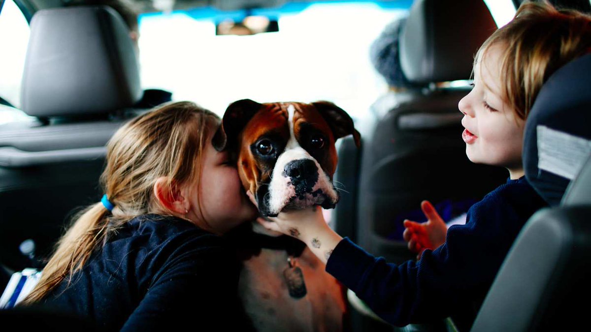 Vouchforme_co's tweet photo. Have you wondered what makes up the price of your car insurance?🤔
@AvivaUK lays down the cards. 26% of claim costs comes from your own car damage. 

You can use peer-to-peer pressure to reduce those cost by being responsible driver.👍

https://t.co/0OBRiRvmzX https://t.co/KGzAY0vZrp