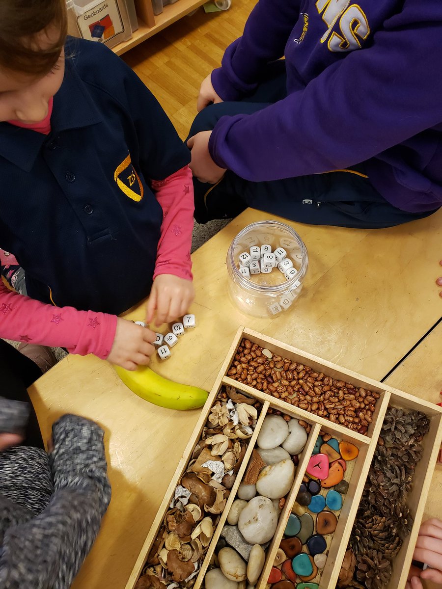 _sarabateman's tweet photo. Learning about linear measurement. Student question "how would you measure a banana, because it curves around?" Let the inquiry begin! #Grade1 #mathisfun https://t.co/PIdVsFL2w2
