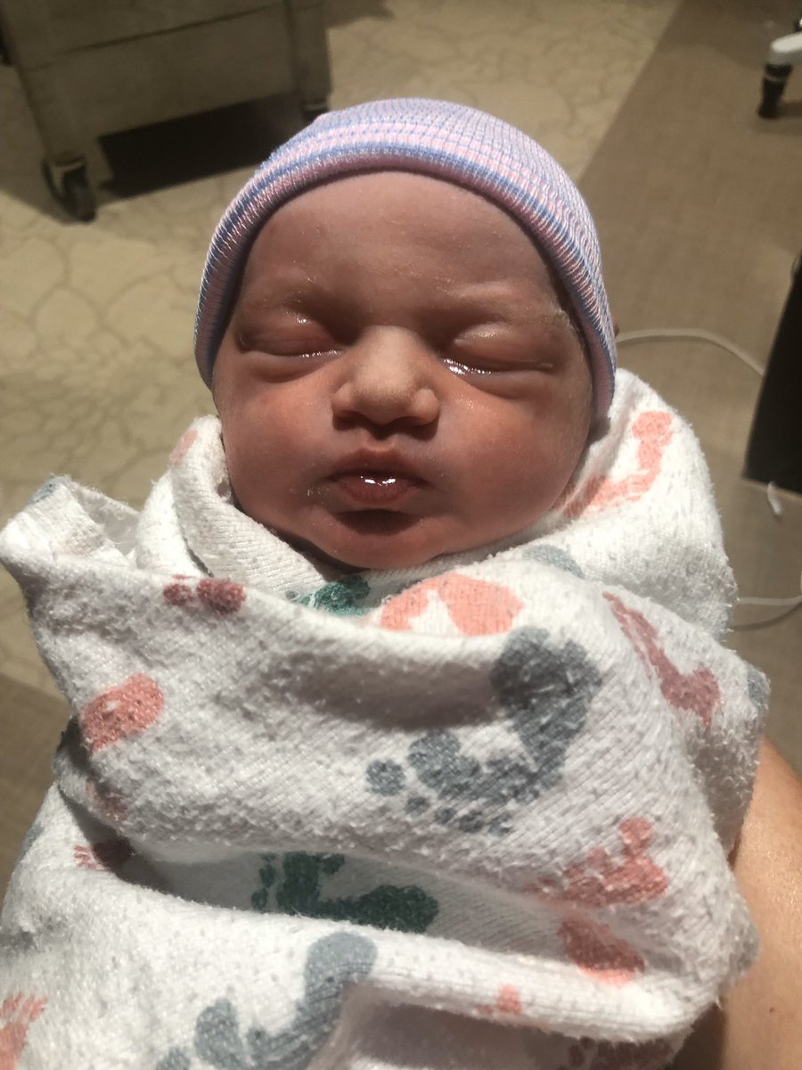 hollidayjobie's tweet photo. we made a perfect human being🥰 https://t.co/Sar5f8c1RD