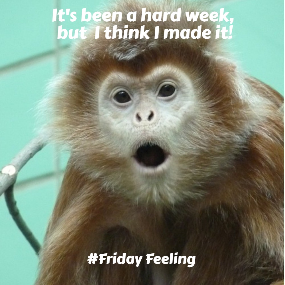 tinahurley99@gmail.com tweet media