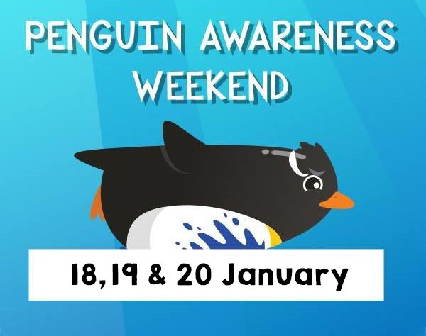TheDeepHull's tweet photo. P-p-pop on by for some ‘flippin’ fantastic fun as we celebrate all things penguin for Penguin Awareness Weekend. Find out more here https://t.co/nYuq34uIqb #PenguinAwarenessWeekend #PenguinConservation #FamilyFun
#DaysOutHull #DaysOut #AquariumHull #Penguins
#FunDaysOut https://t.co/fvjLoHzJ2r