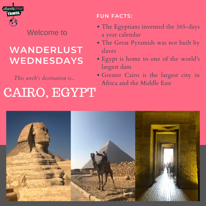 LegallyPinkTrav's tweet photo. Wanderlust Wednesdays is back!!!!  This week's destination: Cairo!!!! 🇪🇬

#legallypinktravel #wanderlustwednesday #wanderlust #cairo #egypt #cairoegypt #wanderlusting #explore #passport #traveladdict #travelbug #openmyworld #ancientegypt #egyptianhistory #Africa #Sphynx #pyramids https://t.co/pQxTfS23SO