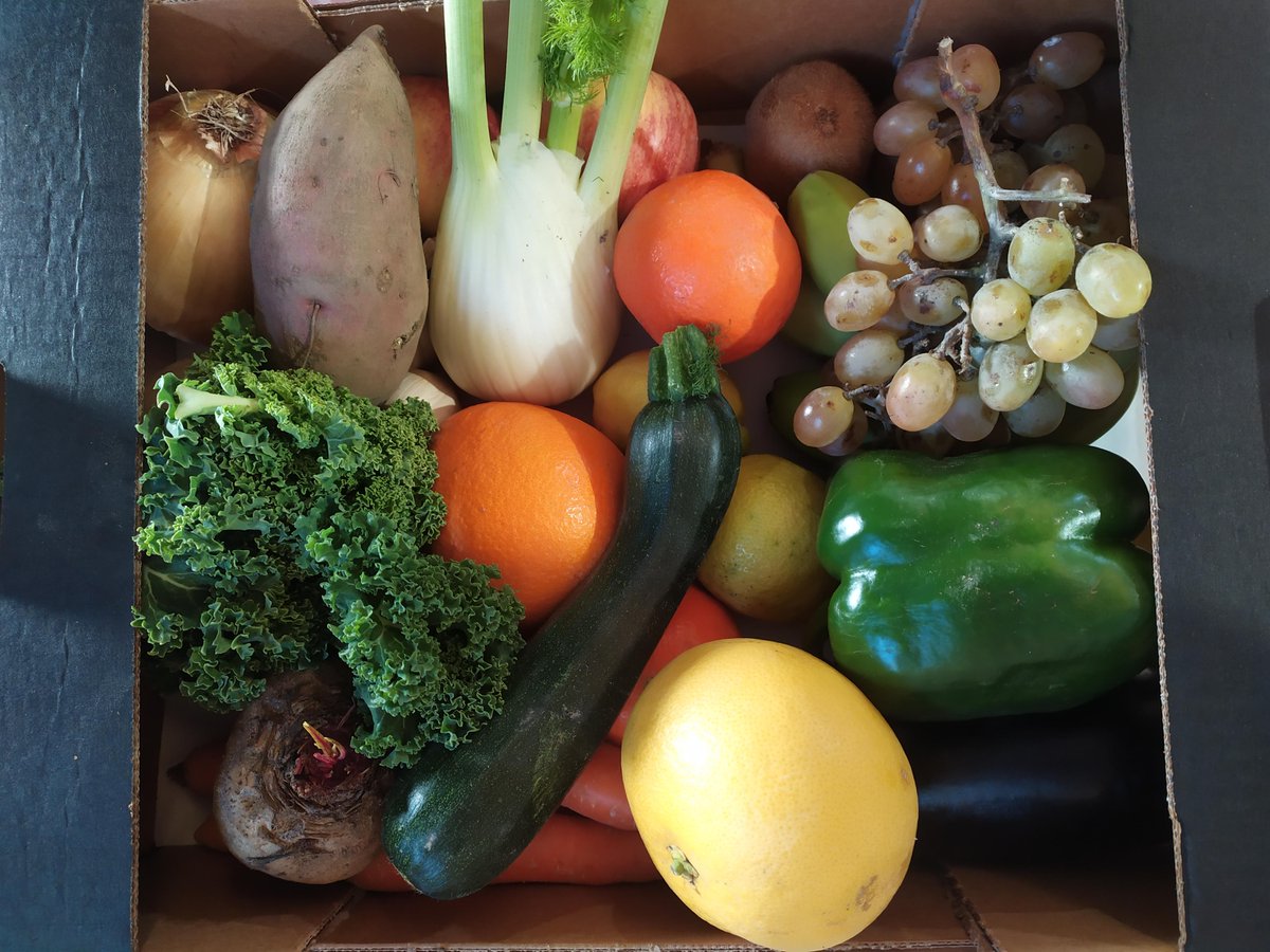 La Simiente tweet media