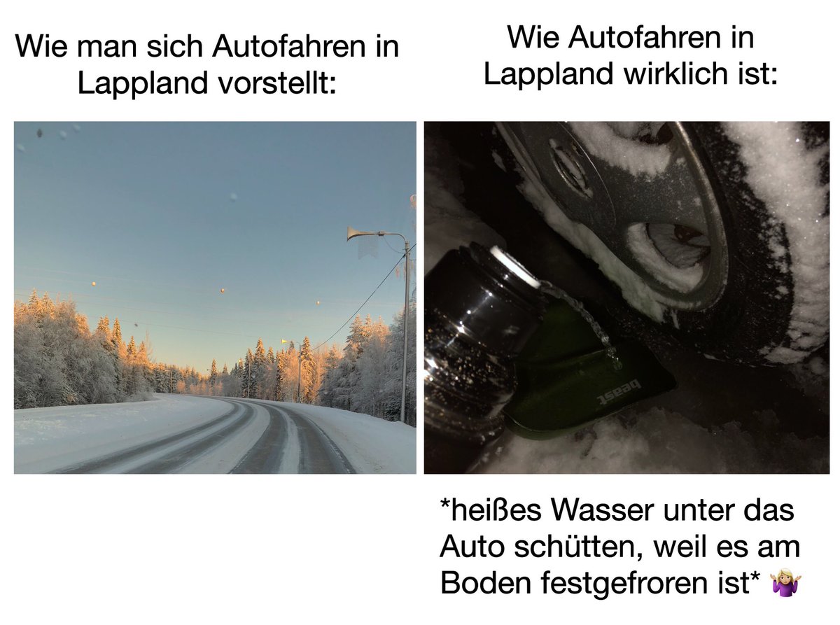 Erwartung vs. Realität. #erlebees