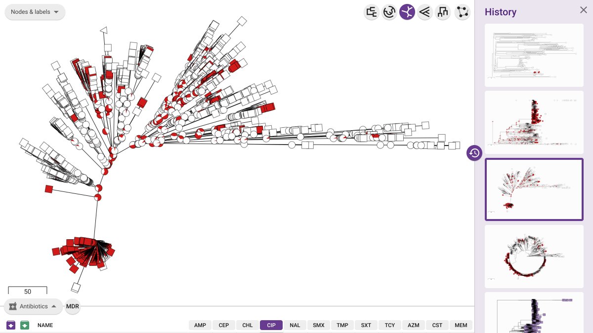 Pathogenwatch tweet media
