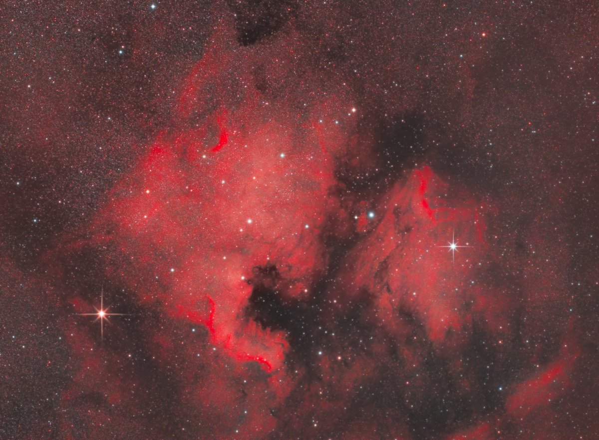 BCurriePhoto's tweet photo. The North America Nebula https://t.co/pzTpAwxeaa