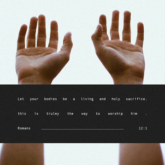 beadneedsfl's tweet image. Amen! 🙌🏽 ift.tt/2NrXi5U