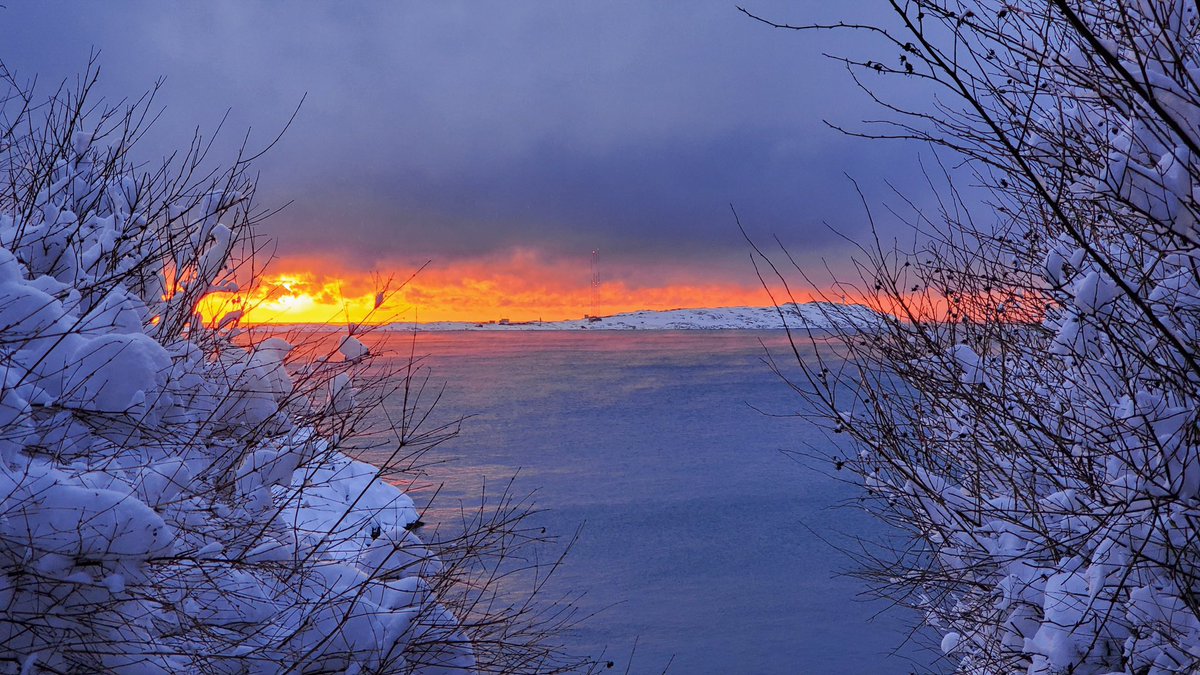 Excited to be starting as Chief Digital Innovation Officer <a href="/PHSAofBC/">Provincial Health Services Authority</a> supporting digital health advancement for BC with <a href="/BCMOH/">MOH.BC</a> #digitalhealth (despite this crazy weather)