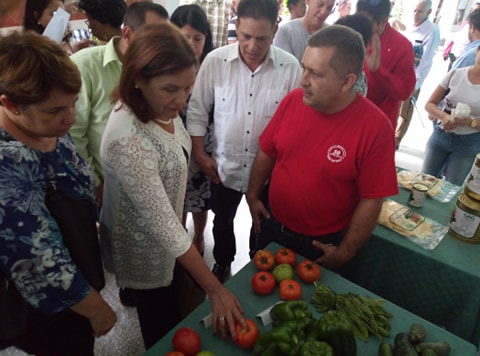Sigue aconteciendo en el campus universitario la expo feria por el día de la #CienciaCubana,se brinda una breve imagen de los resultados obtenidos en la provincia en materia de resultados científicos que aportan a la economía del país. #VamosporMás #UCLVconCiencia