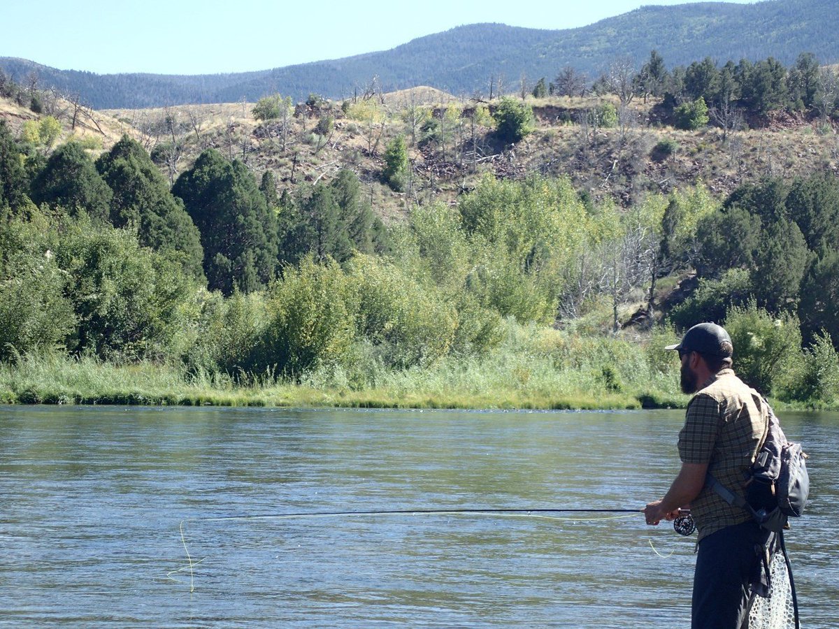 FlyRods_com tweet picture