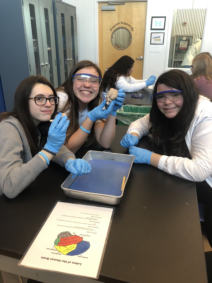 8th graders explored brains today <a href="/davinciscience/">Da Vinci Science Center</a>. #ourbestsms