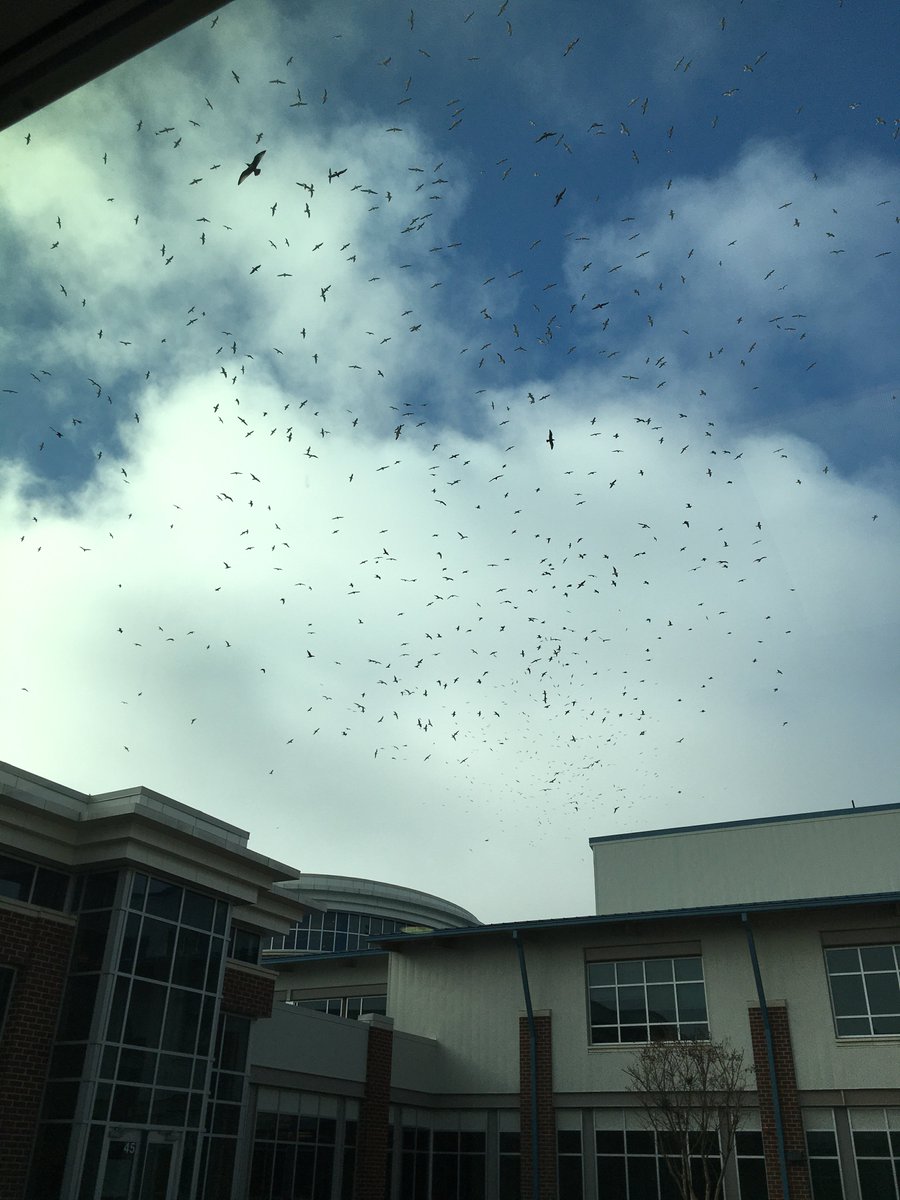 Got chum? Waiting for chum today outside of Colgan HS <a href="/colganhs/">Colgan High School</a>.