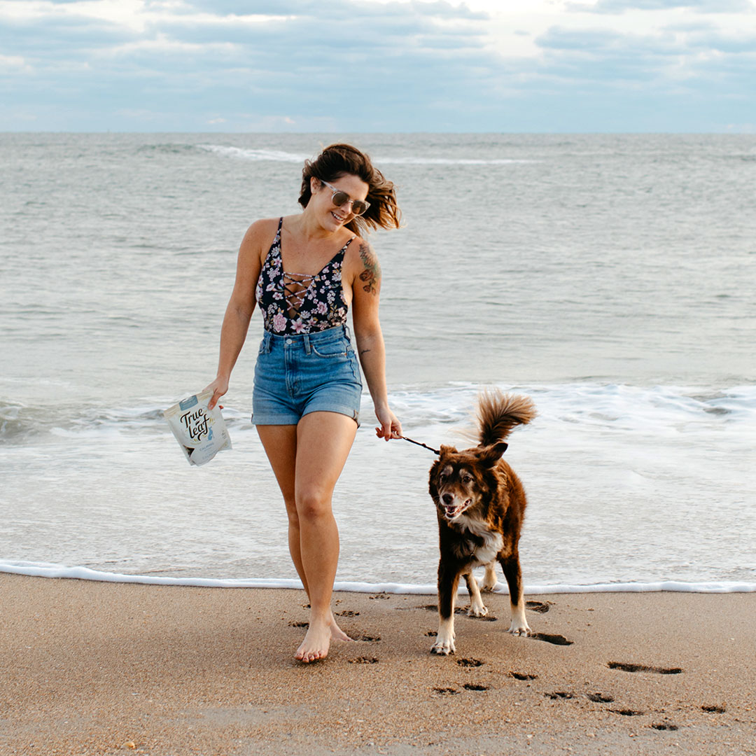 trueleafpet's tweet image. Shout out to all our cold weather friends around the world. Enjoy playing in the snow while dreaming of future beach walks with our best fur pals. #returnthelove