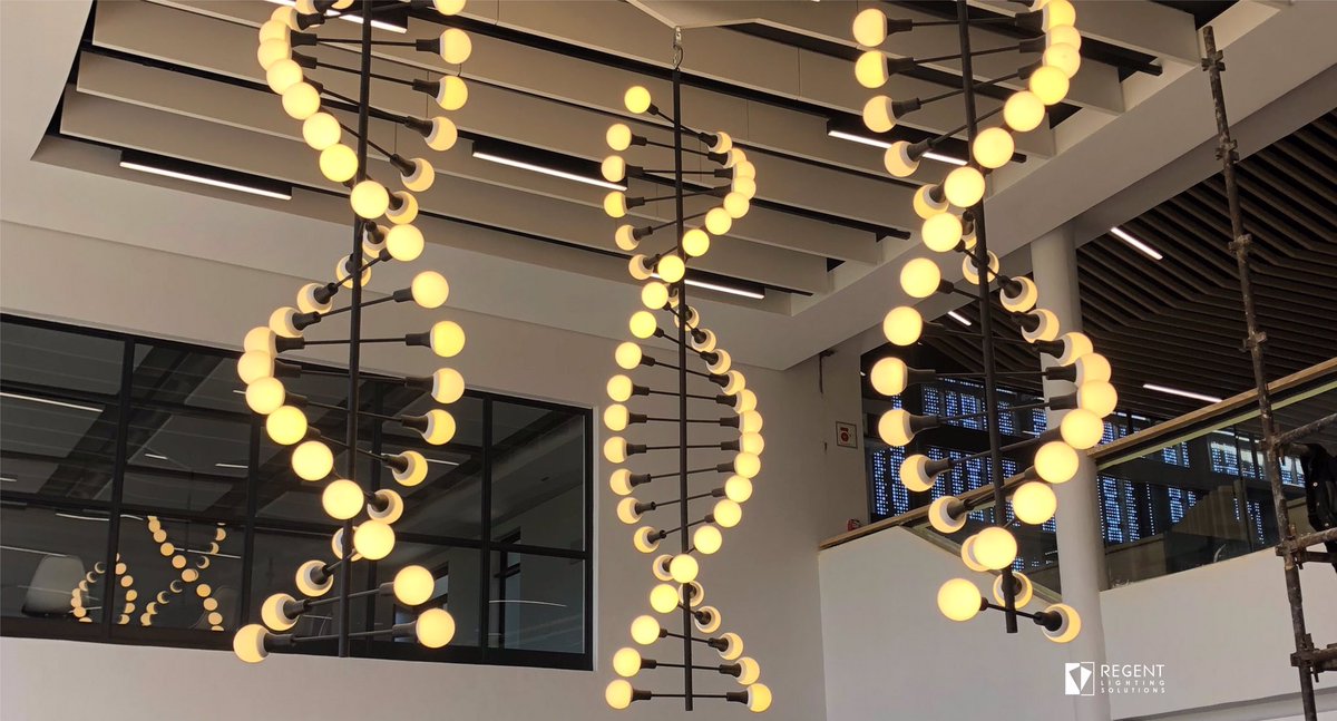 RegentLighting's tweet photo. In a project completed last year, we supplied bespoke pendants resembling a strand of DNA double helix. RLS worked on this project with DHK Architects and Sutherland Consulting Engineers. #regentlightingsolutions #rlsprojects #interiorlighting https://t.co/SZP7nzE96L