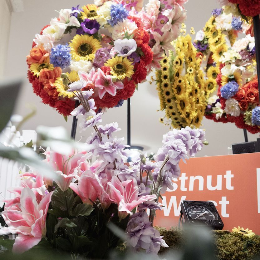StationShops's tweet photo. Now that it's really winter, #tbt to that time there were flowers and springtime in the station! #flowershow #phillyflowershow https://t.co/4v5zWXwwQB