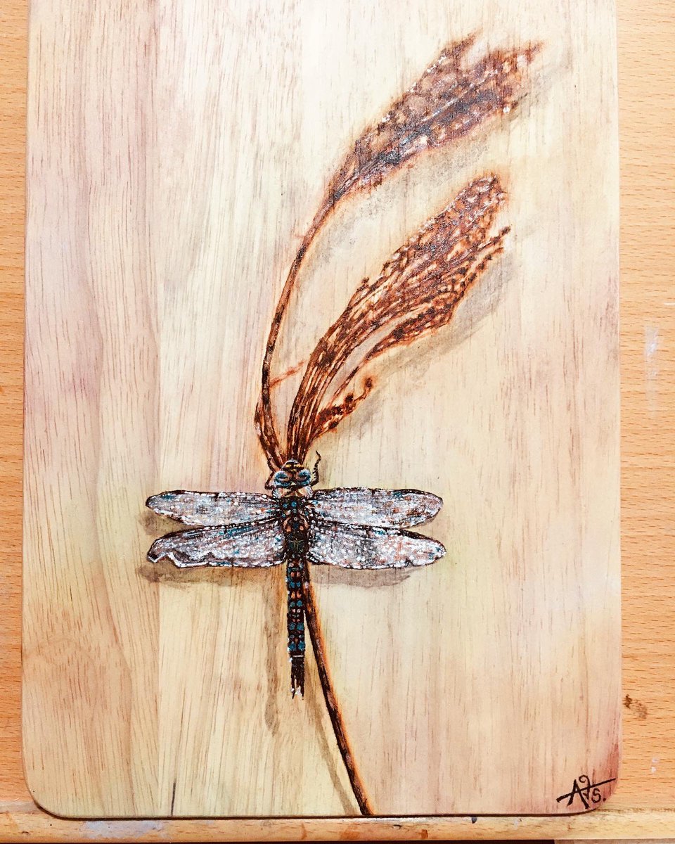 annettevan15's tweet photo. Dragonfly on wood. @SocietyScotArt @DalerRowney @CASSART1984 https://t.co/0ivr7A6Ego