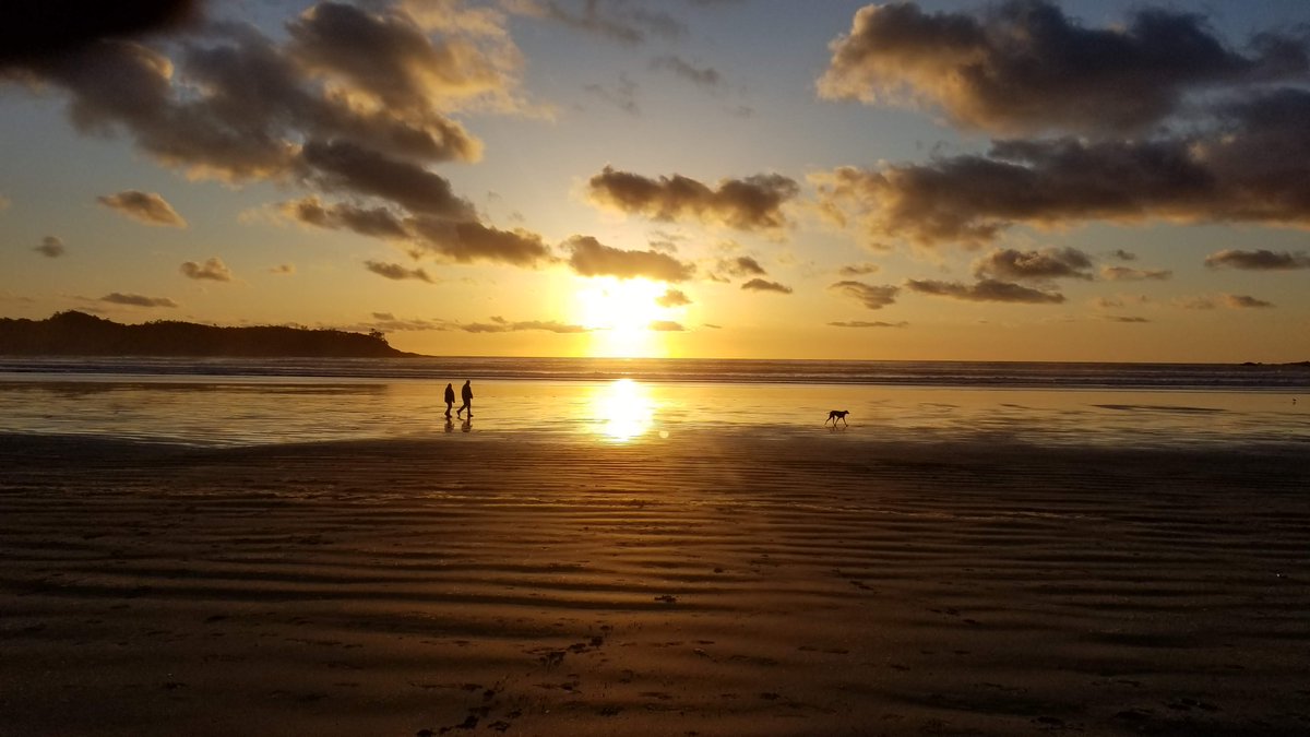 lisamonforton's tweet photo. A4 What’s your favourite winter activity in Canada?  
Really, who needs Mexico or Hawaii? Because where else can you walk on a beach or go surfing in #Canada in February? #CanadaChat @tofinotourism @hellobc #mytofino https://t.co/tIBW82OaCs https://t.co/8mwyYWzyvx