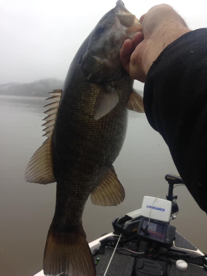 STEVENDEANDEMPS's tweet photo. SD Fishing shaky heads getting it done for Kevin Borne. Nice job Kevin. https://t.co/dTnazepIbw