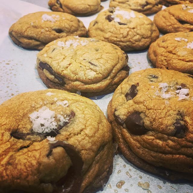 Nicole Votano tweet media